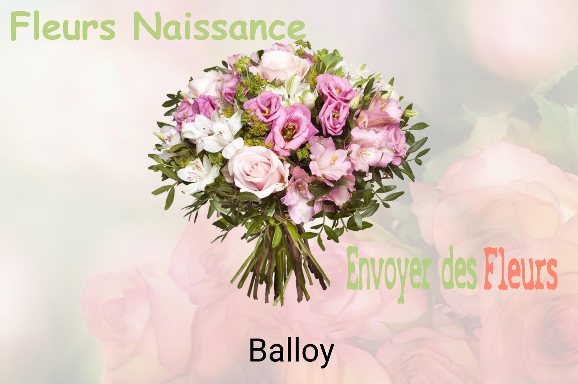 Bouquet de fleurs de naissance livré à Balloy
